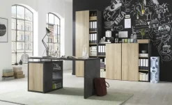 Aktenschrank Cuando | 218 cm, Steingrau, Eiche (Nachbildung)