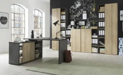 Aktenschrank Cuando | 218 cm, Steingrau, Eiche (Nachbildung)