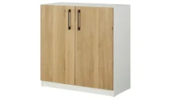 Aktenschrank SOLIDLine | links, rechts, 80 cm | Höffner