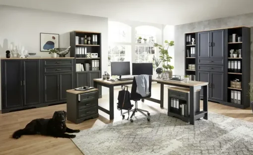 Aktenschrank Varese | Graphit, Asteiche (Nachbildung)