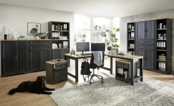 Aktenschrank Varese | Graphit, Asteiche (Nachbildung)