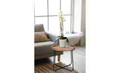 Beistelltisch Jette | 48 cm, 48 cm | Möbel Höffner