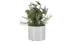 Übertopf | 11 cm | Möbel Höffner
