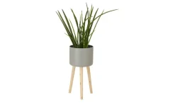 Übertopf auf Holzbeinen | 58 cm | Möbel Höffner