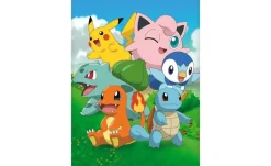 Bettwäsche-Set Pokémon | Möbel Höffner