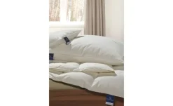 Billerbeck 3-Kammer-Kopfkissen Belja 2.0 Edition | 40 cm