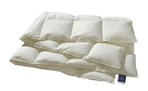 Billerbeck Kassettendecke VI Belja 2.0 Edition