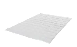 Billerbeck Kassettendecke Superlight Belja 2.0 Edition