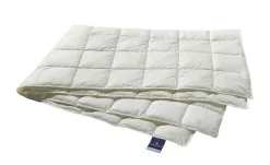 Billerbeck Kassettendecke Superlight Belja 2.0 Edition