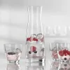 BOHEMIA Wasser-Saft-Set Libera | Möbel Höffner