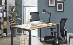 Bürodrehstuhl  Brigach | Möbel Höffner