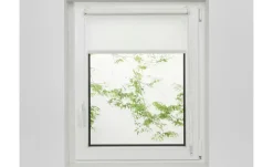 buchheister Klemmfixrollo | 160 cm, 60 cm | Höffner