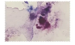 Como Green Renforcé Bettwäsche Floral Dreams | Höffner