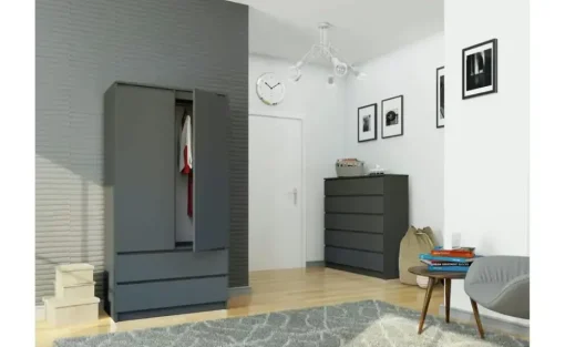 Drehtürenschrank mit 2 Schubladen Oda | Graphit