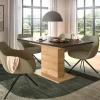 Esstisch ausziehbar  Moritz | Eiche Artisan (Nachbildung), Grau