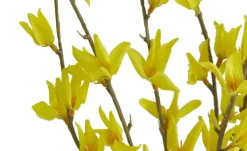 Forsythienbund | Möbel Höffner