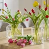 Französischer Tulpenbund | Gelb | Möbel Höffner