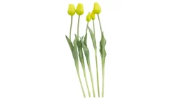 Französischer Tulpenbund | Gelb | Möbel Höffner