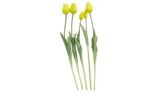 Französischer Tulpenbund | Gelb | Möbel Höffner