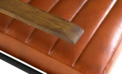 Freischwinger Sessel Buff  | Cognacbraun | Höffner