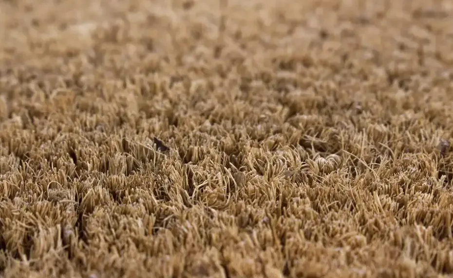 Fußmatte Kokos Velour | Möbel Höffner