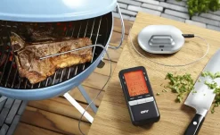 Gefu Digitales Funk-Bratenthermometer HÄNDI | Höffner