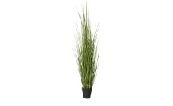 Grasbüschel getopft | 121,5 cm | Möbel Höffner