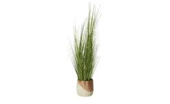 Grasbüschel getopft | 121,5 cm | Möbel Höffner