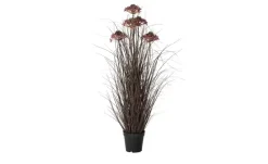 Grasbüschel mit Blüten | Möbel Höffner
