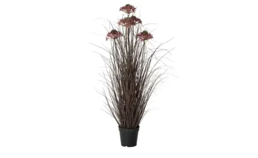 Grasbüschel mit Blüten | Möbel Höffner