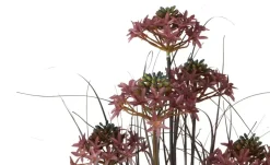 Grasbüschel mit Blüten | Möbel Höffner