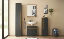 Hochschrank Colpinsee | Anthrazit, matt, Eiche (Nachbildung)