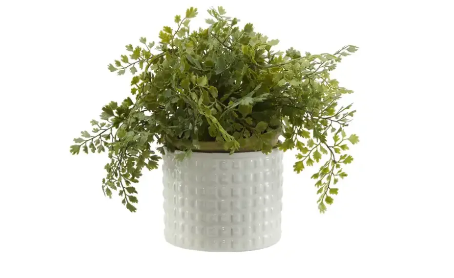 HOME STORY Übertopf | 11 cm | Möbel Höffner