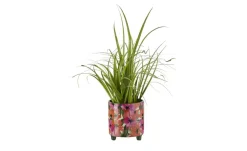 HOME STORY Übertopf Blumen | Möbel Höffner