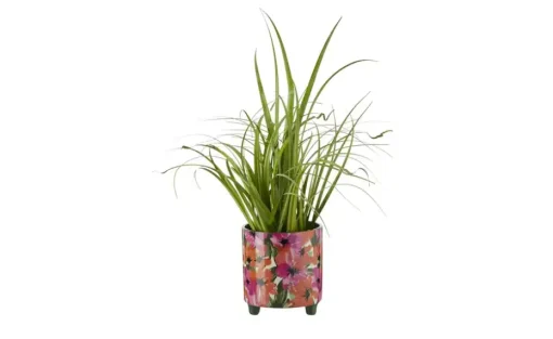 HOME STORY Übertopf Blumen | Möbel Höffner