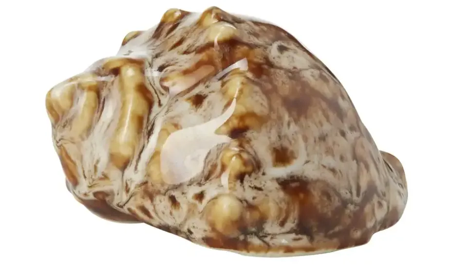 HOME STORY Deko Muscheln, sortiert | Möbel Höffner