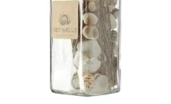 HOME STORY Muschelmix im Glas | Beige, Braun | Höffner