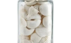 HOME STORY Muschelmix im Glas | Creme | Möbel Höffner