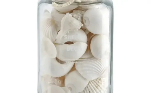HOME STORY Muschelmix im Glas | Creme | Möbel Höffner
