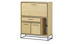 Homeoffice-Schrank Winchester | Möbel Höffner