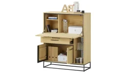 Homeoffice-Schrank Winchester | Möbel Höffner