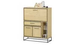 Homeoffice-Schrank Winchester | Möbel Höffner