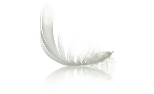 IRISETTE Daunensteppbett EDDA | 200 cm, 135 cm
