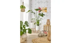 Jute-Teppich Balo | Möbel Höffner