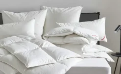 Kopfkissen fest Heike Bio | 40x80 cm | Möbel Höffner