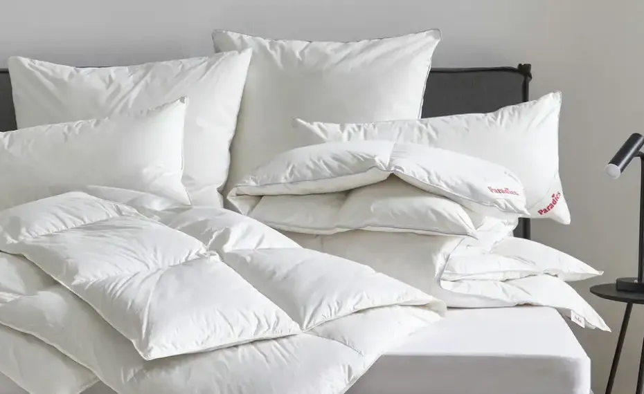 Kopfkissen fest Heike Bio | 40x80 cm | Möbel Höffner