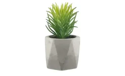 Kunstblume Sukkulente | Design I | Möbel Höffner