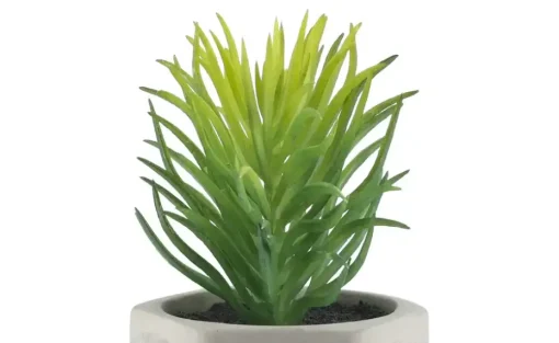 Kunstblume Sukkulente | Design I | Möbel Höffner