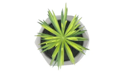 Kunstblume Sukkulente | Design I | Möbel Höffner