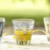 LEONARDO 6er-Gläserset Avventura | 215 ml | Höffner